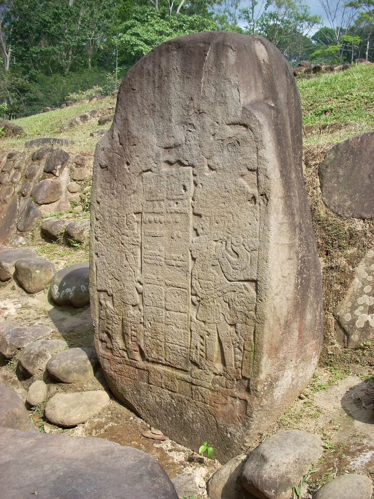 La stèle 5 de Takalik Abaj, bloc de pierre dressé dans la végétation, face gravée